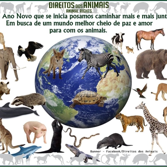 Meet your Posher, Evelyn - Picture 7 of 8